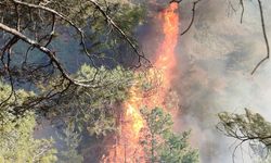 Hatay Belen’de orman yangını: Müdahale ekipleri bölgeye sevk edildi
