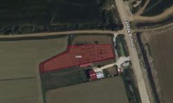 Göksun'da 2.534 m² Elma ve Kiraz Ağaçlı Arazi İcradan Satılık