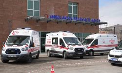 Ispanak Zannedip Yediler! 11 Kişi Hastanelik Oldu