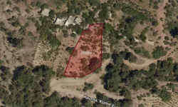 Kahramanmaraş Onikişubat'ta 1.880 m² Bağ İcradan Satılık!