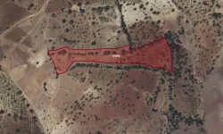 Kahramanmaraş'ta Vasıflı Taşınmaz Satışta Sunulacak