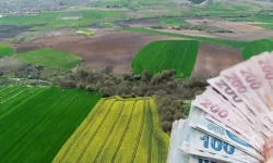 Kahramanmaraş'ta Değerli Arsa Satılacak: İcra Dairesi Bu Fiyatı Bekliyor