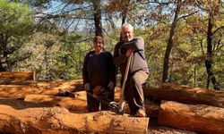 Karı-koca 35 yıldır ormanlarda damgalanan ağaçları kesiyorlar