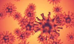 Yeni Salgının Adı H3N2: İşte Bilinmesi Gerekenler