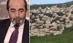 Koyun Sürüsü Şehit Yüzbaşının Mezar Yerini Haber Verdi