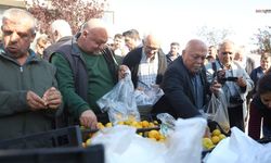 Mandalinanın fiyatı 2 TL'ye düşünce üreticiler tonlarca ürünü vatandaşlara ücretsiz dağıttılar