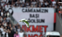 Beşiktaş Maçında Davetsiz Misafir