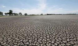 Kahramanmaraş'ta 52 Yıldır Görülmeyen Kuraklık Yaşanıyor