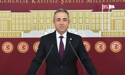 Vekil Karatutlu, Başkonuş ve Sersem Yaylaları'ndaki Doğa Tahribatını Meclis'e Taşıdı