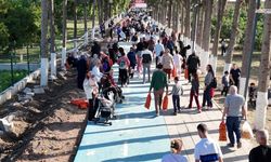 Filesiyle Gelen Bahçede Meyvesini Kendisi Topladı