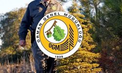 OGM Kahramanmaraş'ta 10 pozisyon için personel alacak