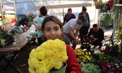Öğretmenler Günü için buket çiçekler yerine saksı çiçekleri tercih ediliyor