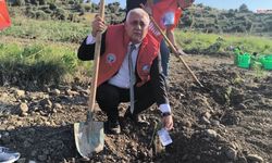 Osmaniye'de Şehit ve Depremde Kaybedilen Öğretmenler İçin Fidanlar Toprakla Buluştu