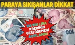 Paraya Sıkışanlar Dikkat: 100 Bin TL Kredinin Geri Ödemesi Şaşırttı