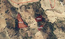 Kahramanmaraş'ta 8.084 m² Tarla İcradan Satışa Çıkarıldı