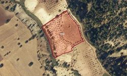 Kahramanmaraş'ta 10.821 m² Tarla İcradan Satışta