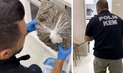 Uyuşturucu operasyonunda 31 şüpheli gözaltına alındı