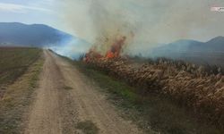 Sazlık alanda çıkan yangın itfaiye ekiplerince söndürüldü
