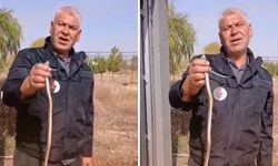 Kahramanmaraş'ta Termik Santralde Yılan Yakalandı!