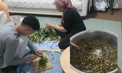 Kahramanmaraş'ın Kış Dokturu Şifa Dağıtıyor