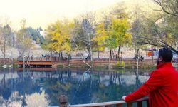 Kahramanmaraş'ın Doğa Harikası: Yeşilgöz Mesire Alanı