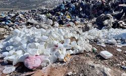 Gıda denetimlerinde 2 bin 70 kg yoğurt ve 297 kg peynir imha edildi