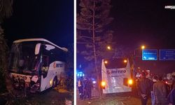Yolcu otobüsü ağaç ve aydınlatma direğine çarptı 3 yaralı