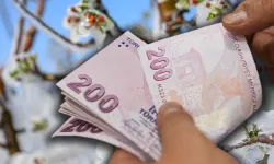 Üreticilere Müjde: Destekler Hesaplarda!