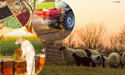 2 Milyar TL Destek Çiftçinin Hesabında