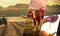 Çiftçiye 1,1 Milyar TL Destek Ödemesi