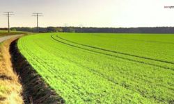 Kahramanmaraş'ta 27 Dönümlük Tarla İcradan Satışta