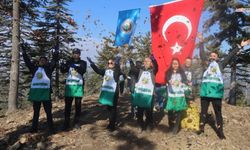 Bu yıl Feke'de 50 ton sedir tohumu ekildi