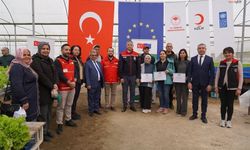 Topraksız marul yetiştiriciliği projesi hayata geçirildi