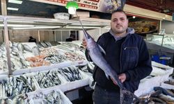 Kahramanmaraş’ta Balık Satışları Rekor Seviyeye Ulaştı