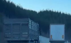 Adana’da Kamyon Manevrası Yürekleri Ağza Getirdi