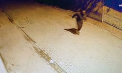 Adana’da evin camlarına taş atıp kaçtı: O anlar kamerada