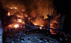 Adana'da yangın faciası: Alzheimer hastası yaşlı kadın aranıyor