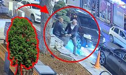 Kahramanmaraş’ta Parkta Ağaç Hırsızlığı! O Anlar Güvenlik Kameralarına Yansıdı