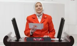 Gözgeç: Bütçe Türkiye Yüzyılı İçin