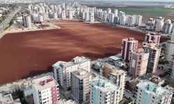 Apartmanlar arasında kalan tarlada tarıma devam ediliyor