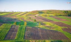 Göksun'da 1.375 m² tarla icradan satışta