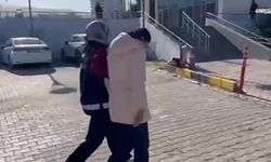 Dolandırıcılık ve silahlı suçlardan aranan üç kişi tutuklandı