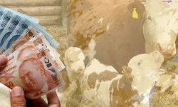 1,46 milyar TL tarımsal destek üreticilerin hesaplarına yatırıldı