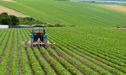Çiftçilere verilen destek ödemeleri açıklandı! Başvuranlar alıyor