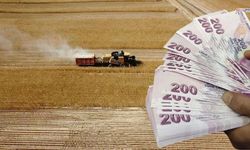 Çiftçiye Büyük Destek Bugün Yatıyor! 2,5 Milyar TL Hesaplarda