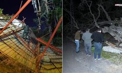 Şiddetli rüzgar çatıyı uçurdu, asırlık meşeyi devirdi