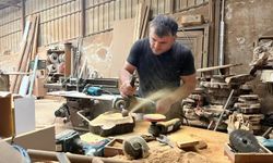 Çürük Zeytin Ağaçları Sanata Dönüşüyor