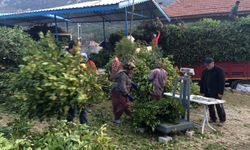 Defne Yaprağıyla Yüzlerce Aileye Gelir