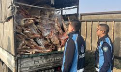 Gaziantep’te kamyonet kasasında bozuk et ele geçirildi