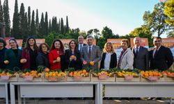 Gazipaşa’da Kamyon Devrildi: 1 Yaralı